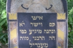 The exquisite matzevah of Mendel Kagan (d. February 1909) .